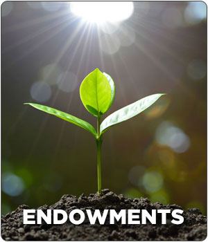 endowments